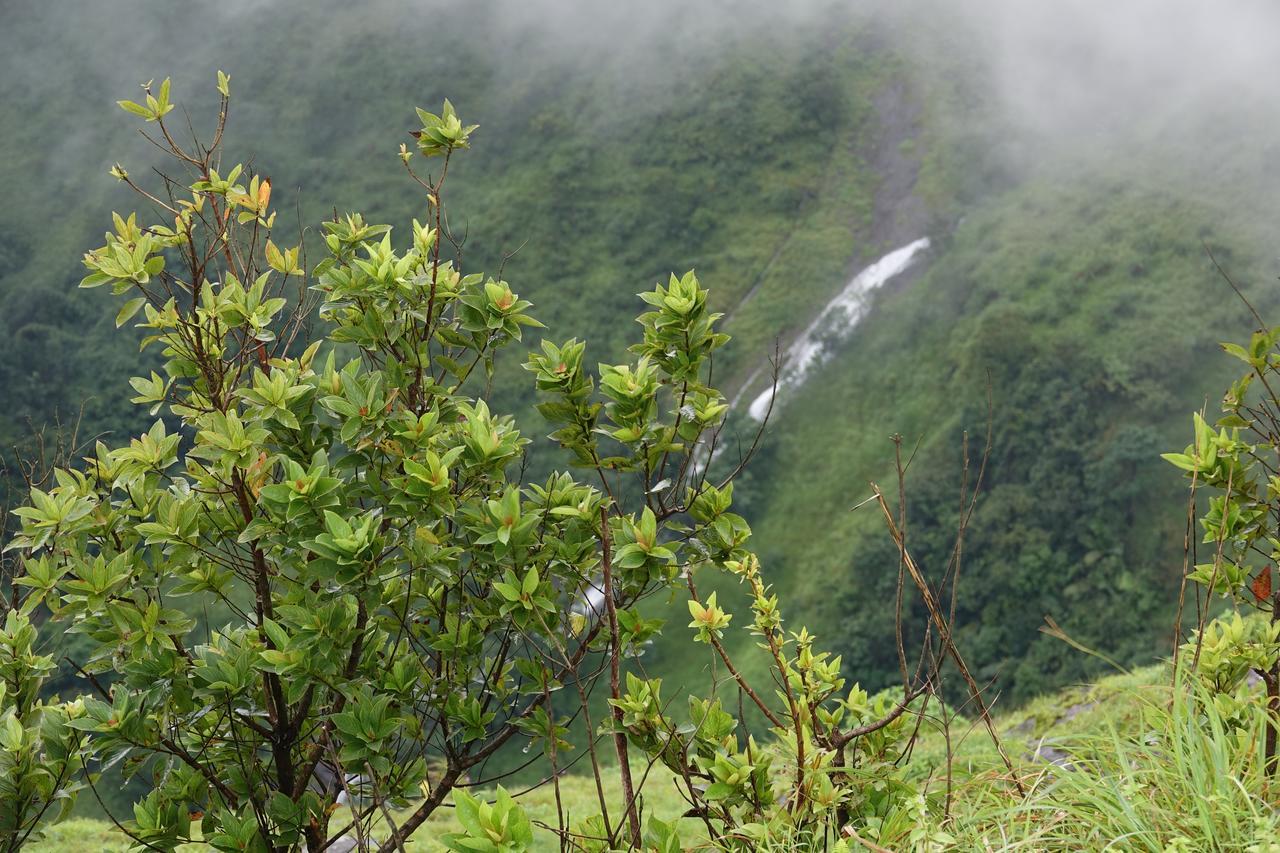 Orion County Vagamon Exterior photo