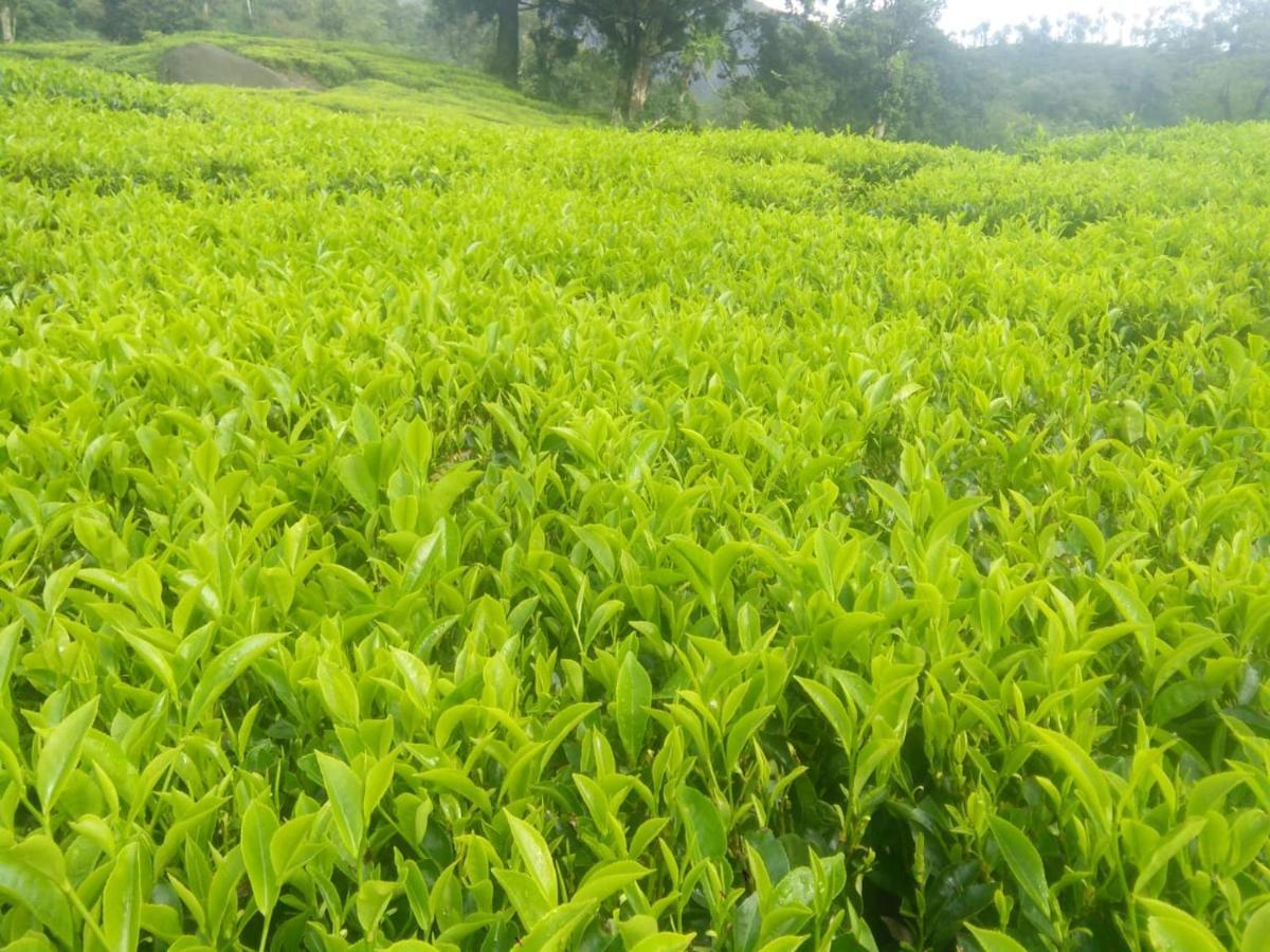 Orion County Vagamon Exterior photo